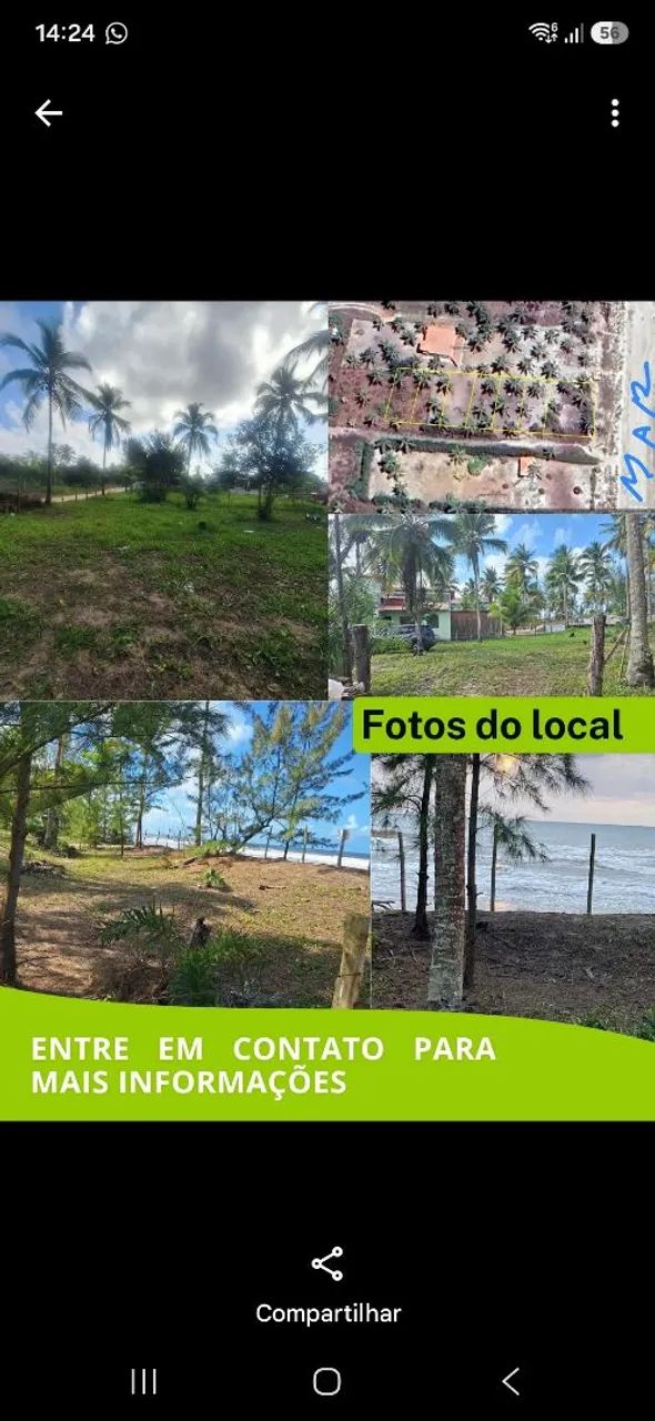 Lotes à Beira Mar  - Foto 2