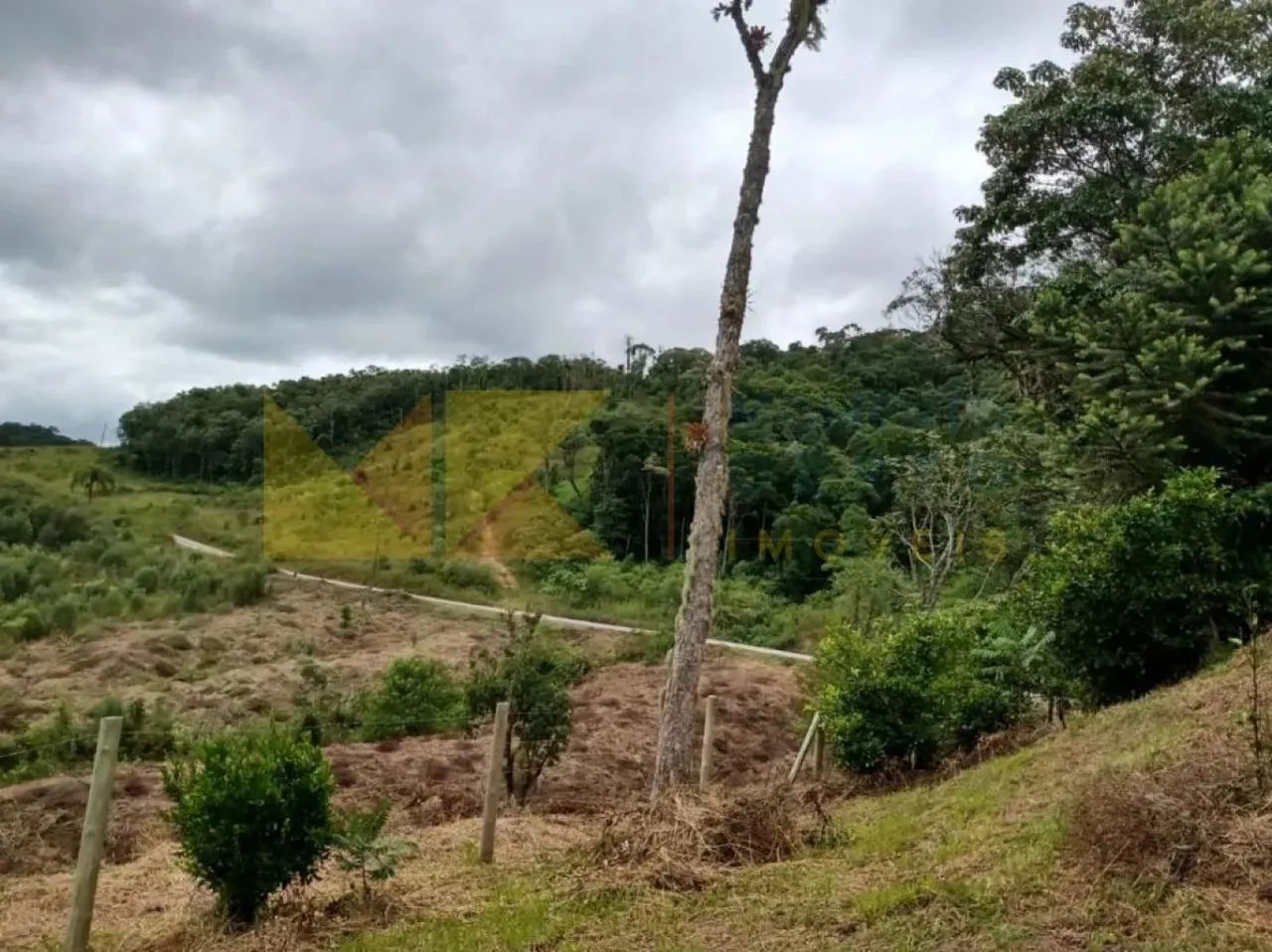 Sitio em Rio dos Cedros a venda - Foto 4