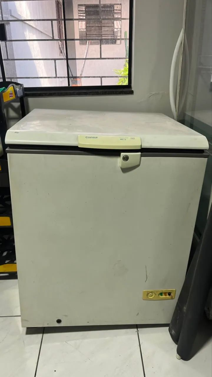 Freezer Horizontal 220 Litros
