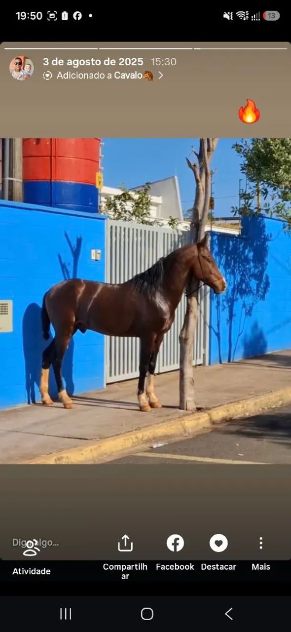 Engate cavalo e charrete  - Foto 2