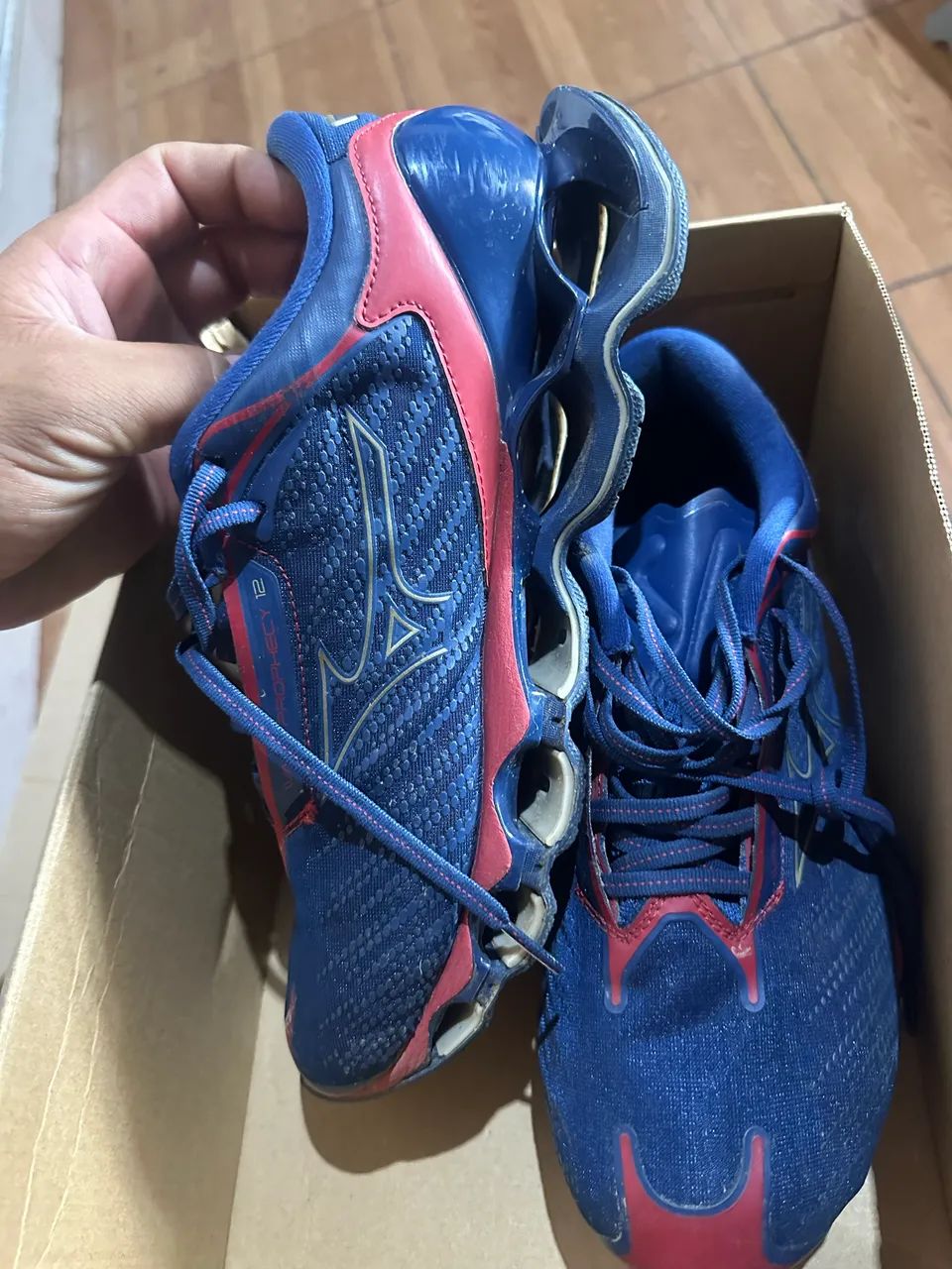 Mizuno prophercy 12