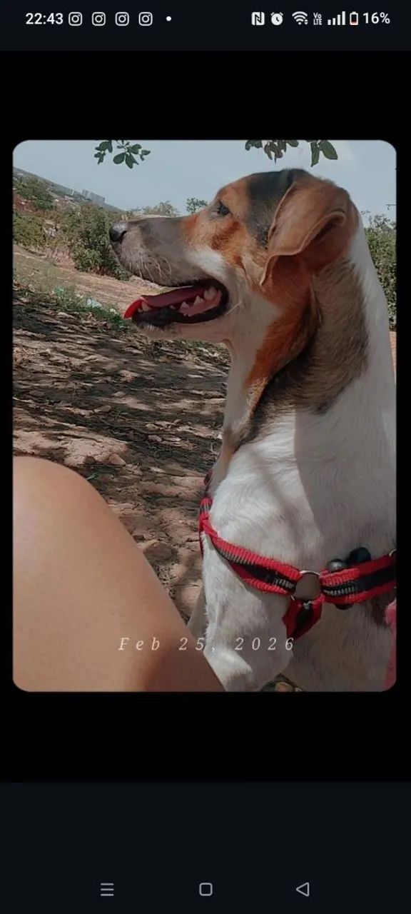 Doação  - Foto 2