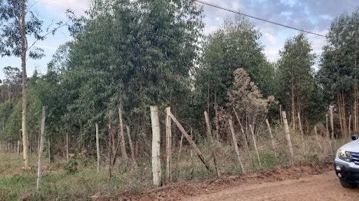 Lote de chácara- Camargo II- São Pedro S/P - Foto 2