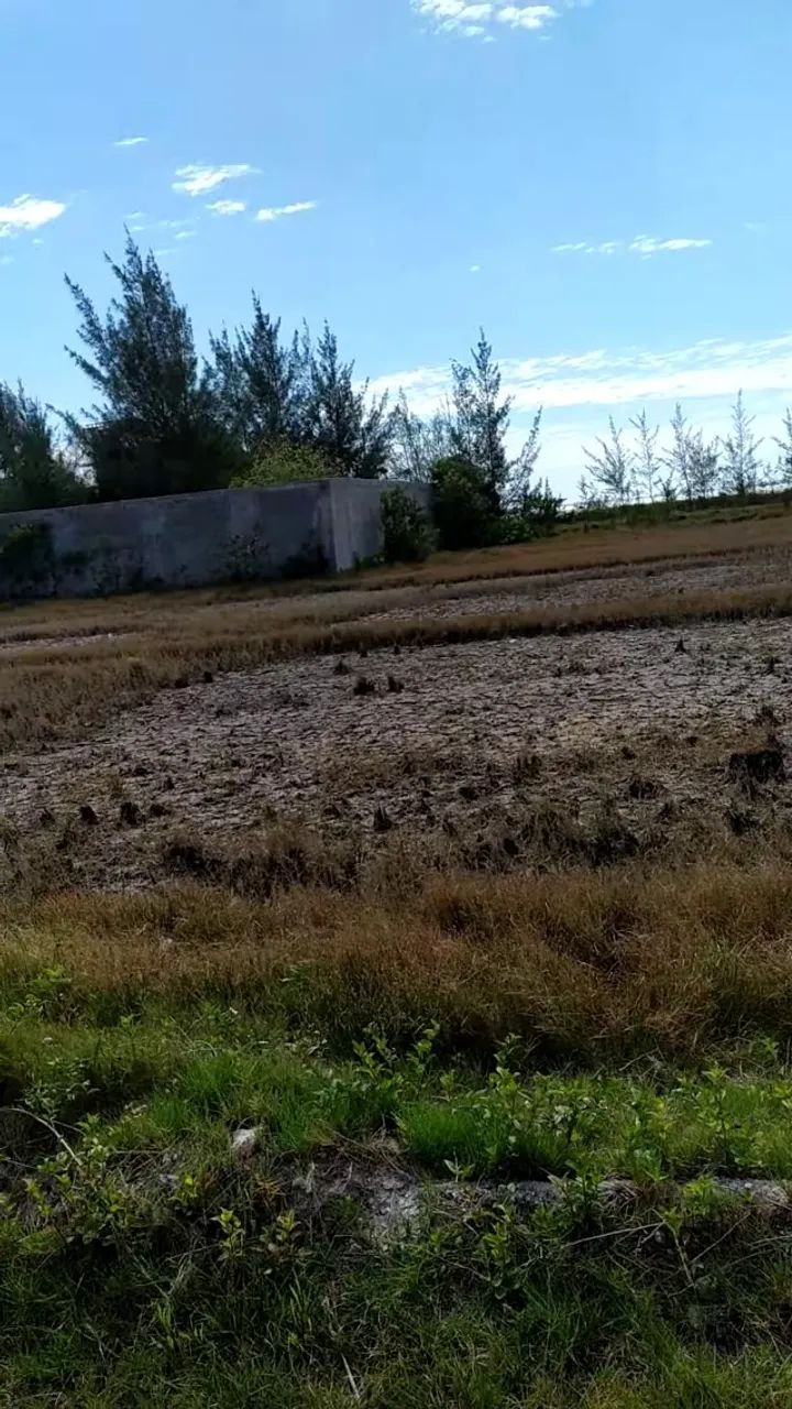 Terreno em Arraial do Cabo - Arubinha - Foto 3