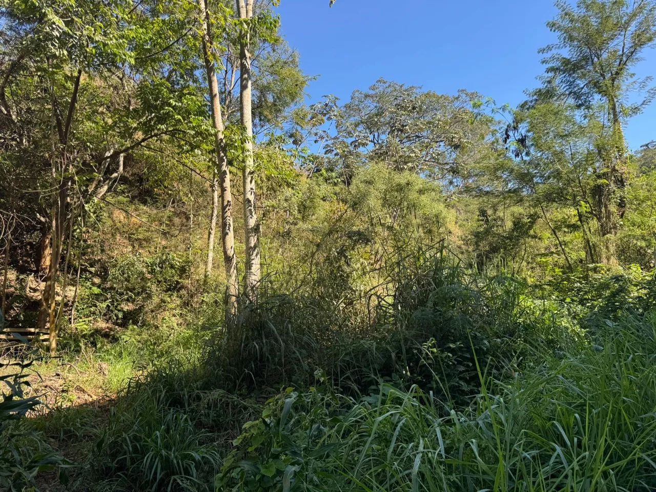 LOTE - SUPER PREÇO  - Foto 4