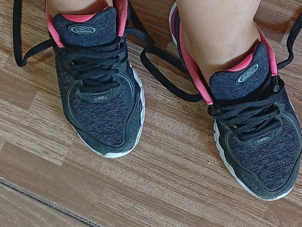 Tenis