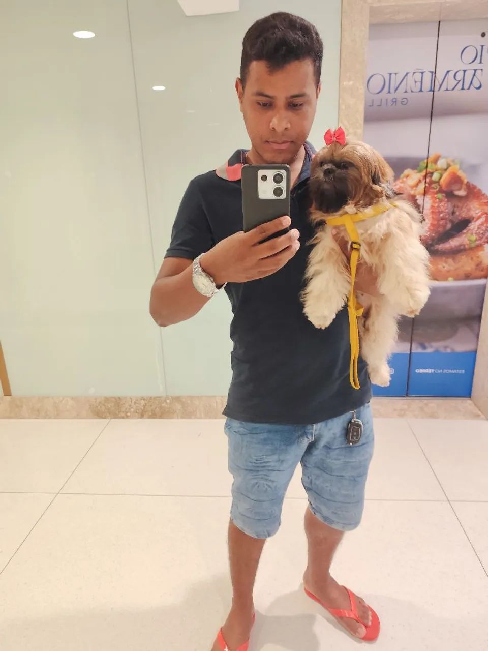 Prestador de serviços, motorista