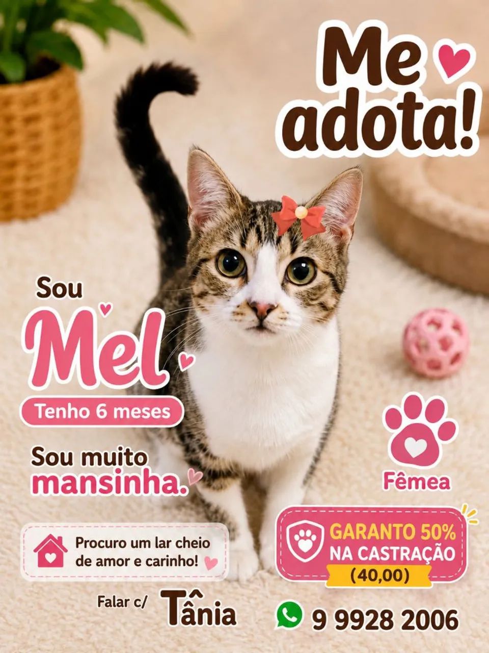FOFURAS - Foto 5