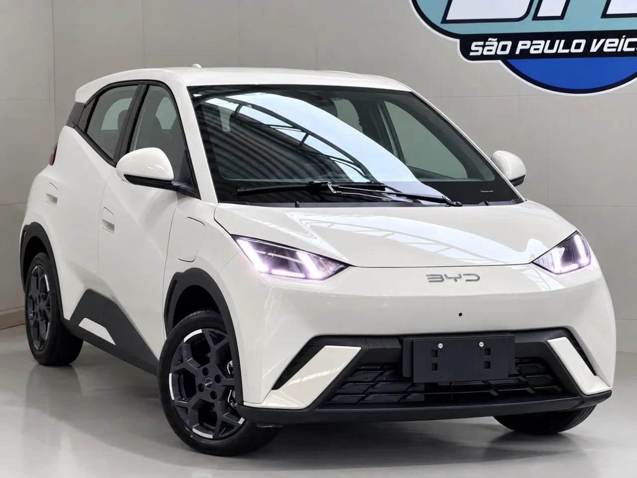 BYD Dolphin Mini (Elétrico) 2027 - Foto 2