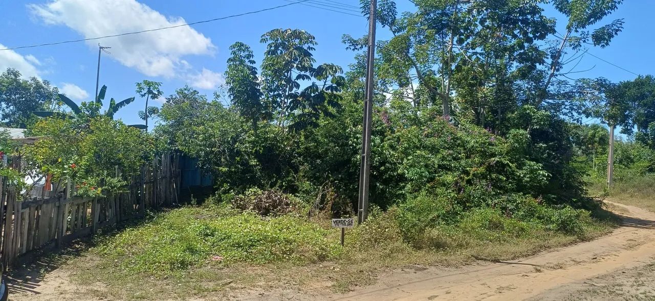 Terreno no Campo Novo - Foto 4