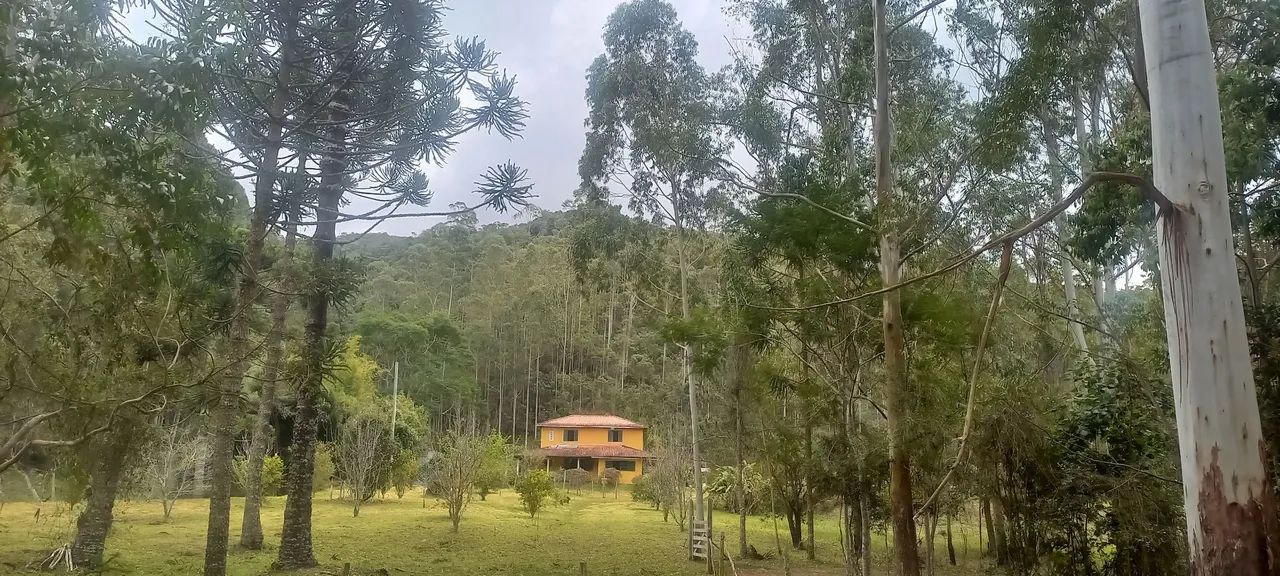 **Vendo Sítio em Liberdade MG** - Foto 5