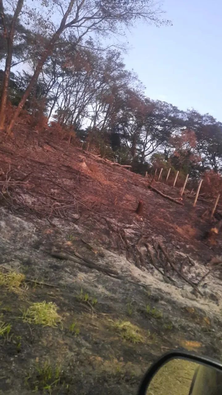 Vende-se lote barato em igarapé 