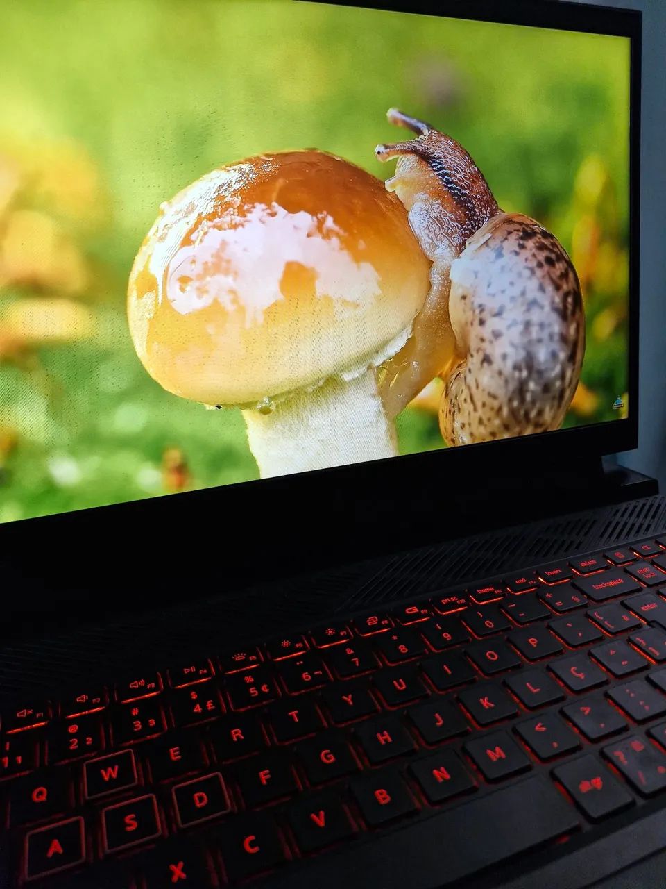 Notebook Gamer Dell G15 - Foto 2