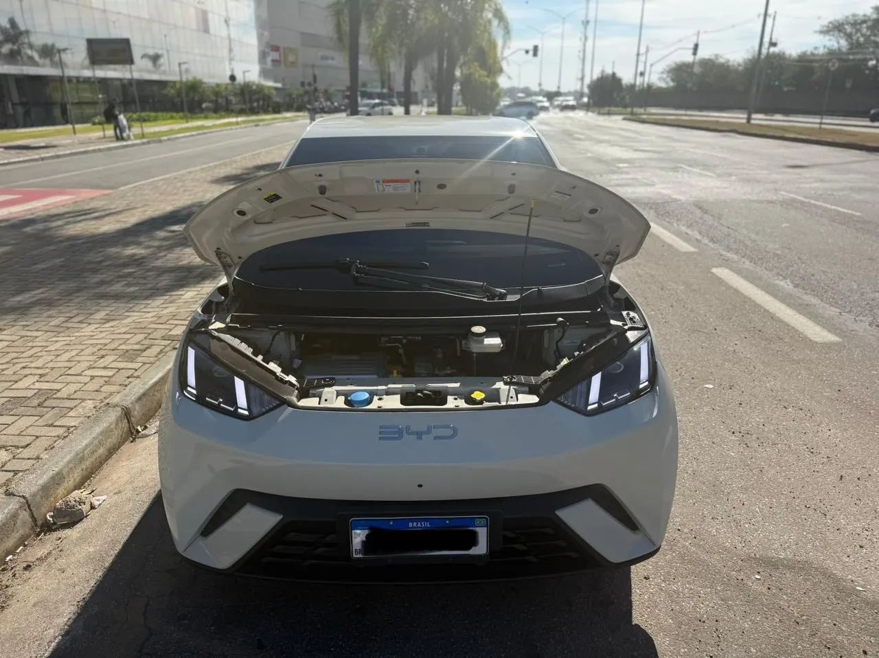 BYD Dolphin Mini (Elétrico) 2025 - Foto 2
