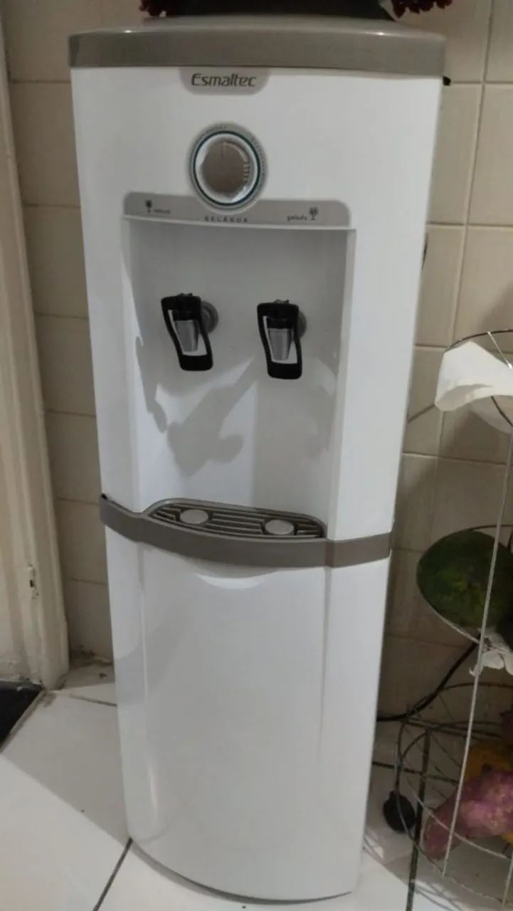 Gelagua de pé 