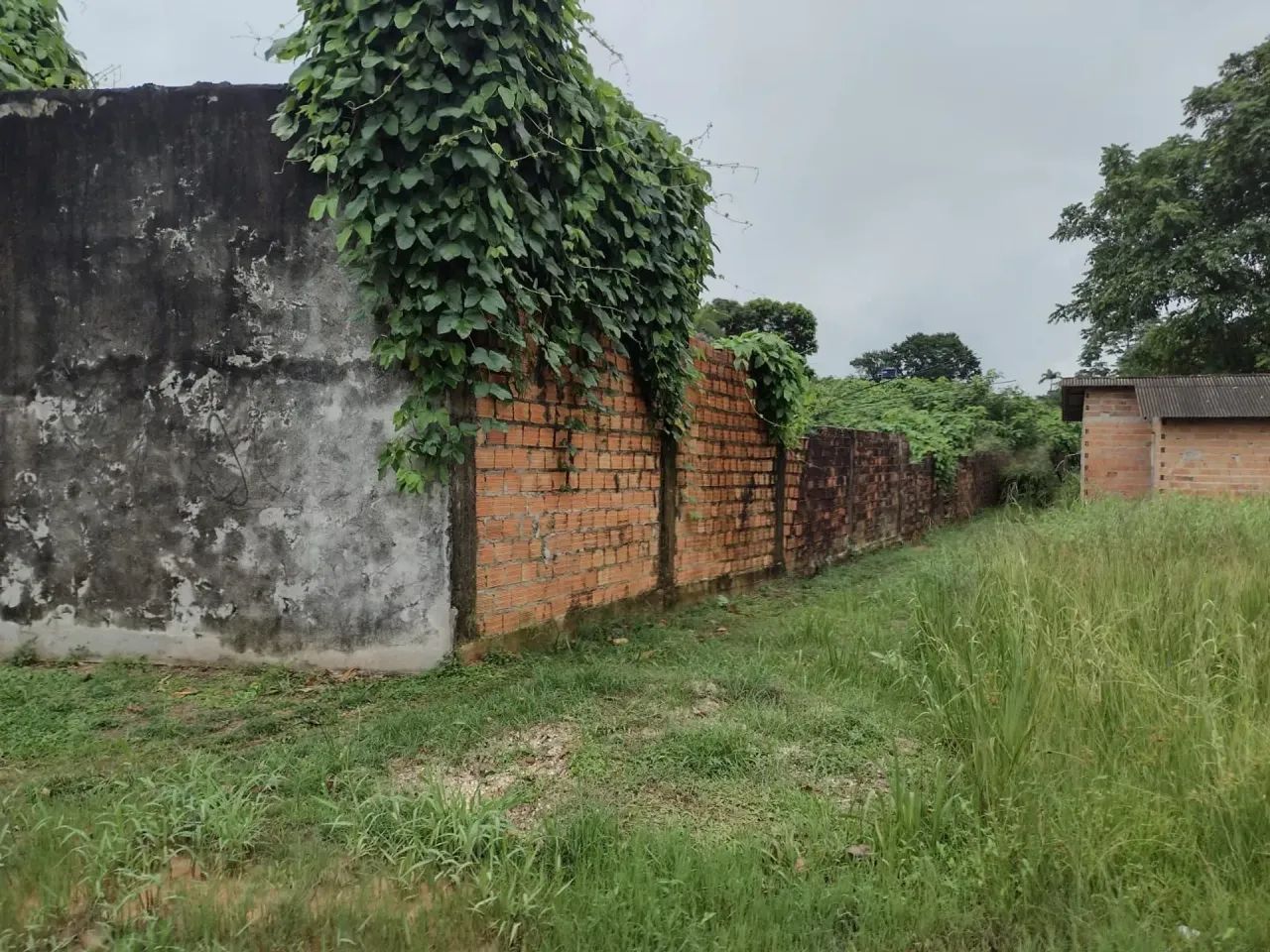 Vendo Terreno murado com 1.960m² no Tapanã - Foto 2