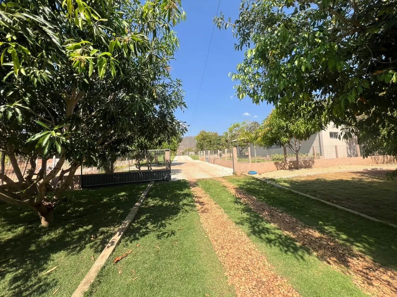 Fazenda em Zona Rural - Lajeado - Foto 2