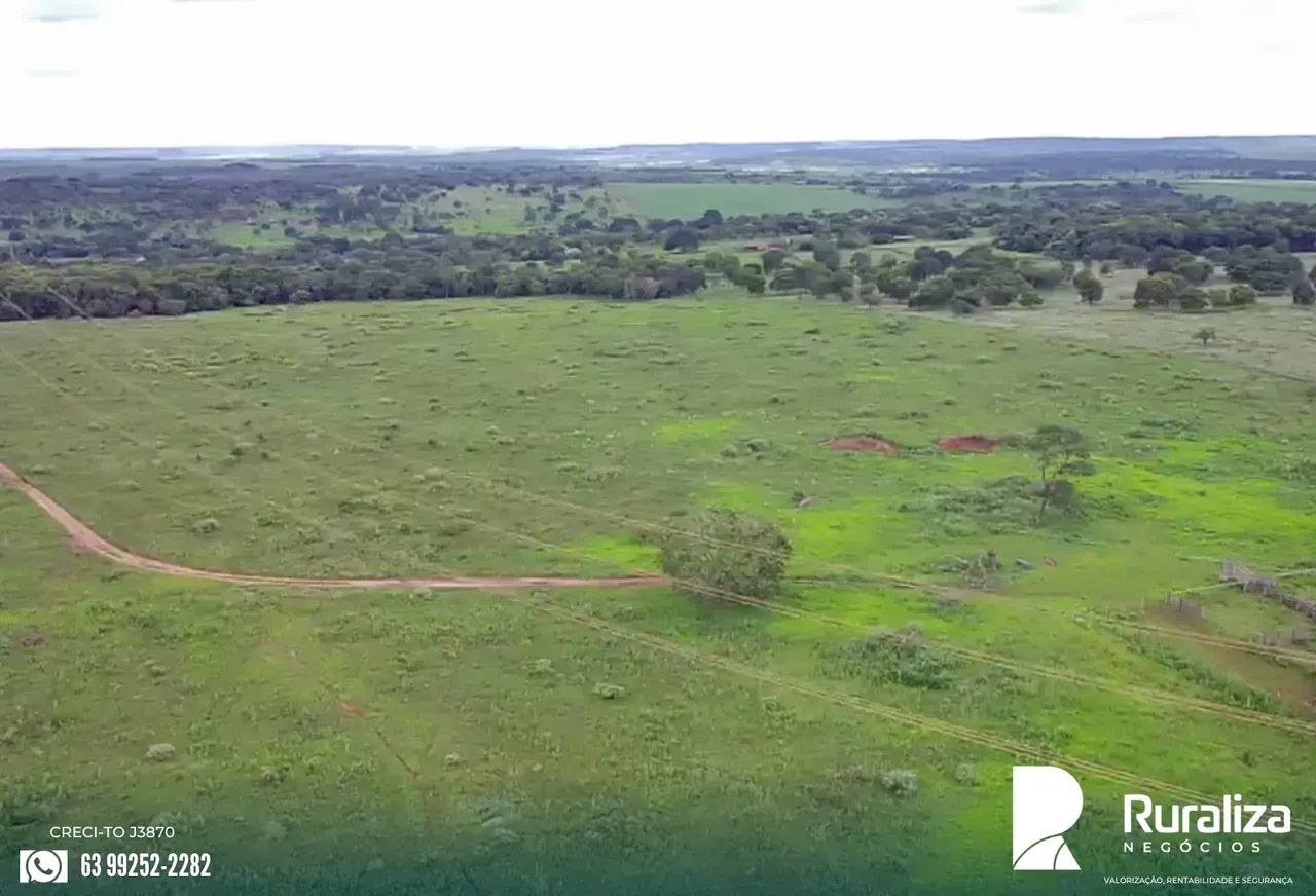 126 HA COM POTENCIAL PARA LAVOURA | NASCENTES E POÇO ARTESIAN - Foto 4