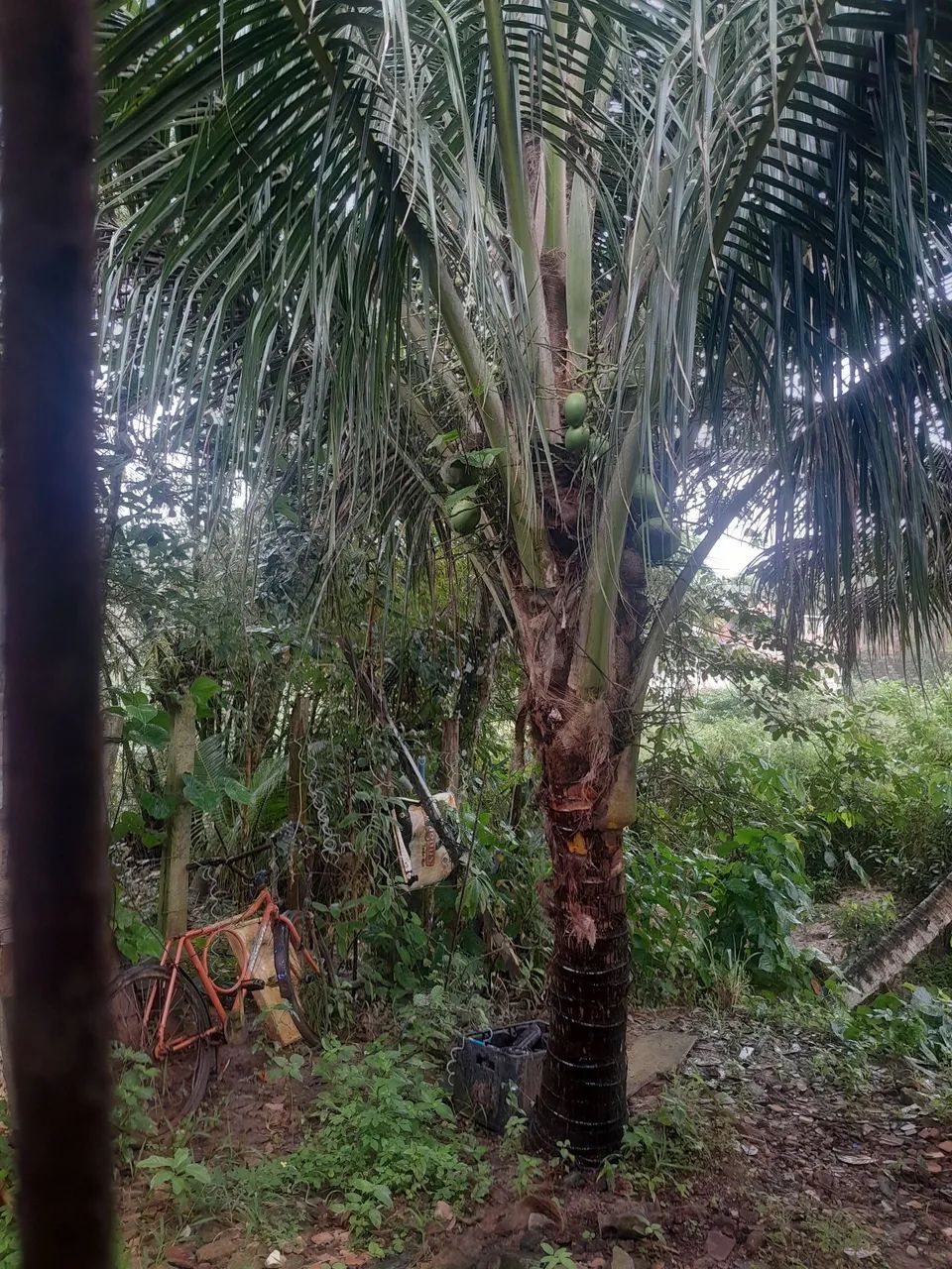 Casa a venda - Foto 2