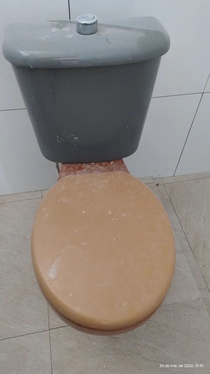 Vendo vaso sanitário completo 