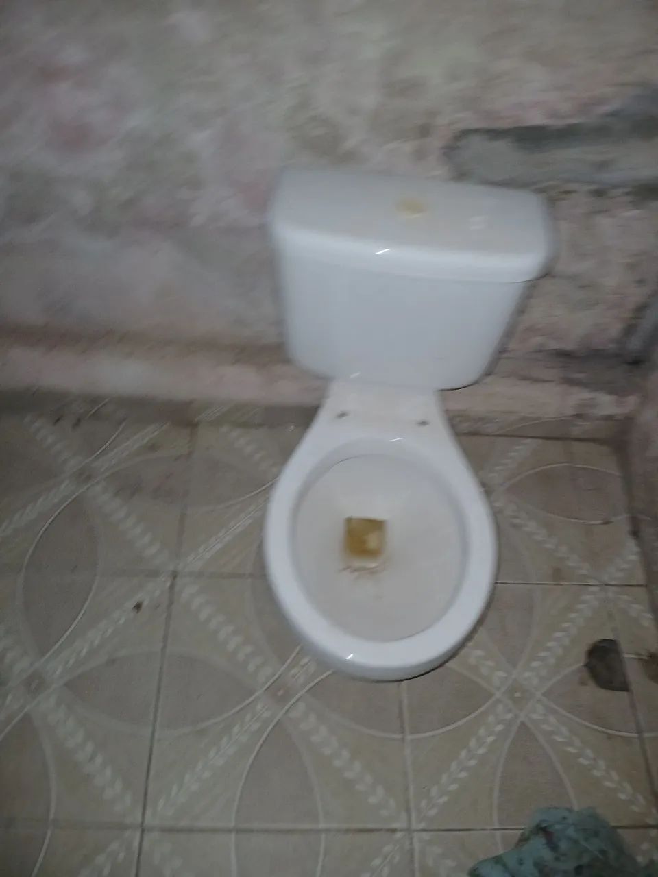Vaso sanitário 