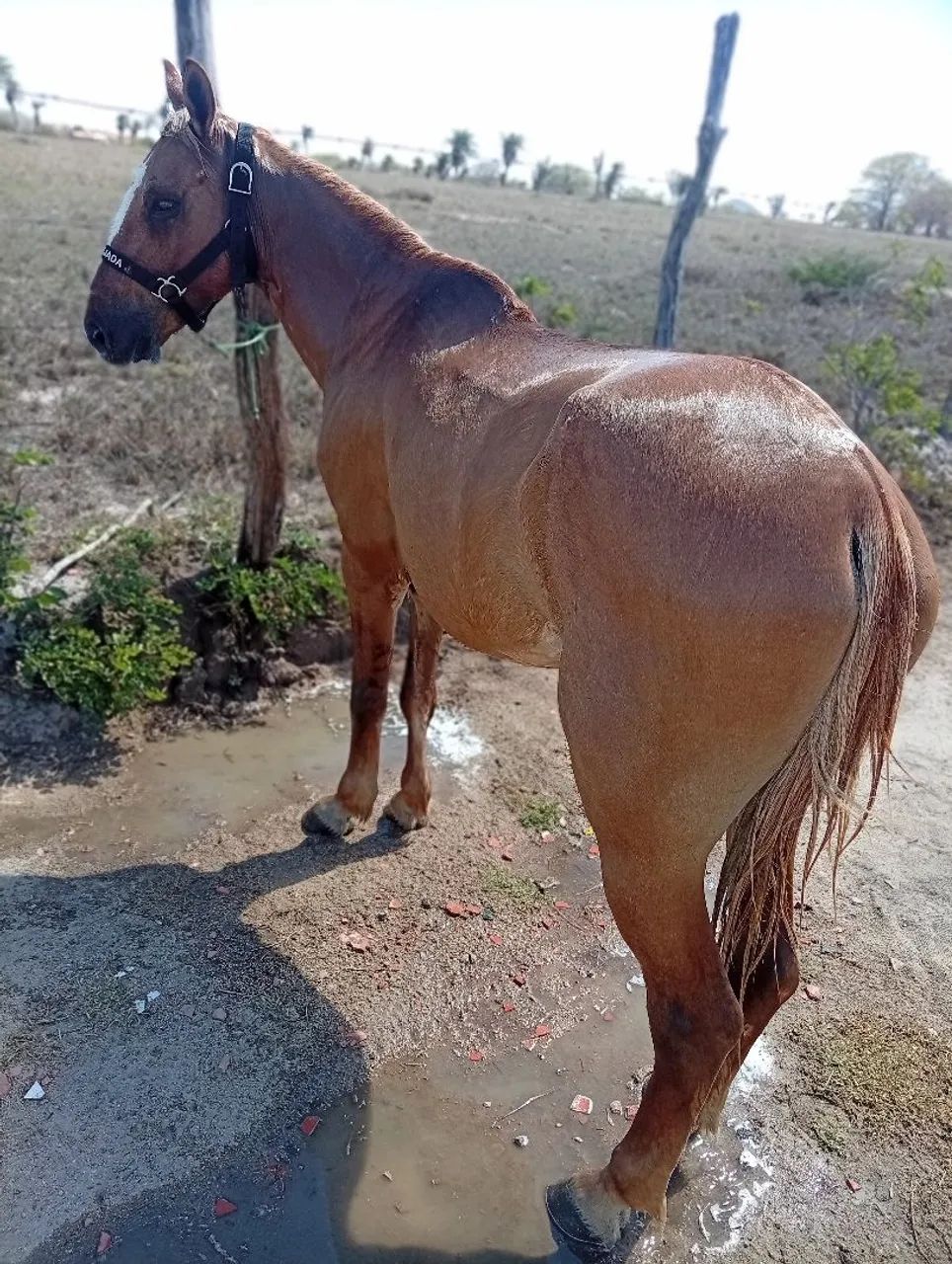 Troca e vender  - Foto 3