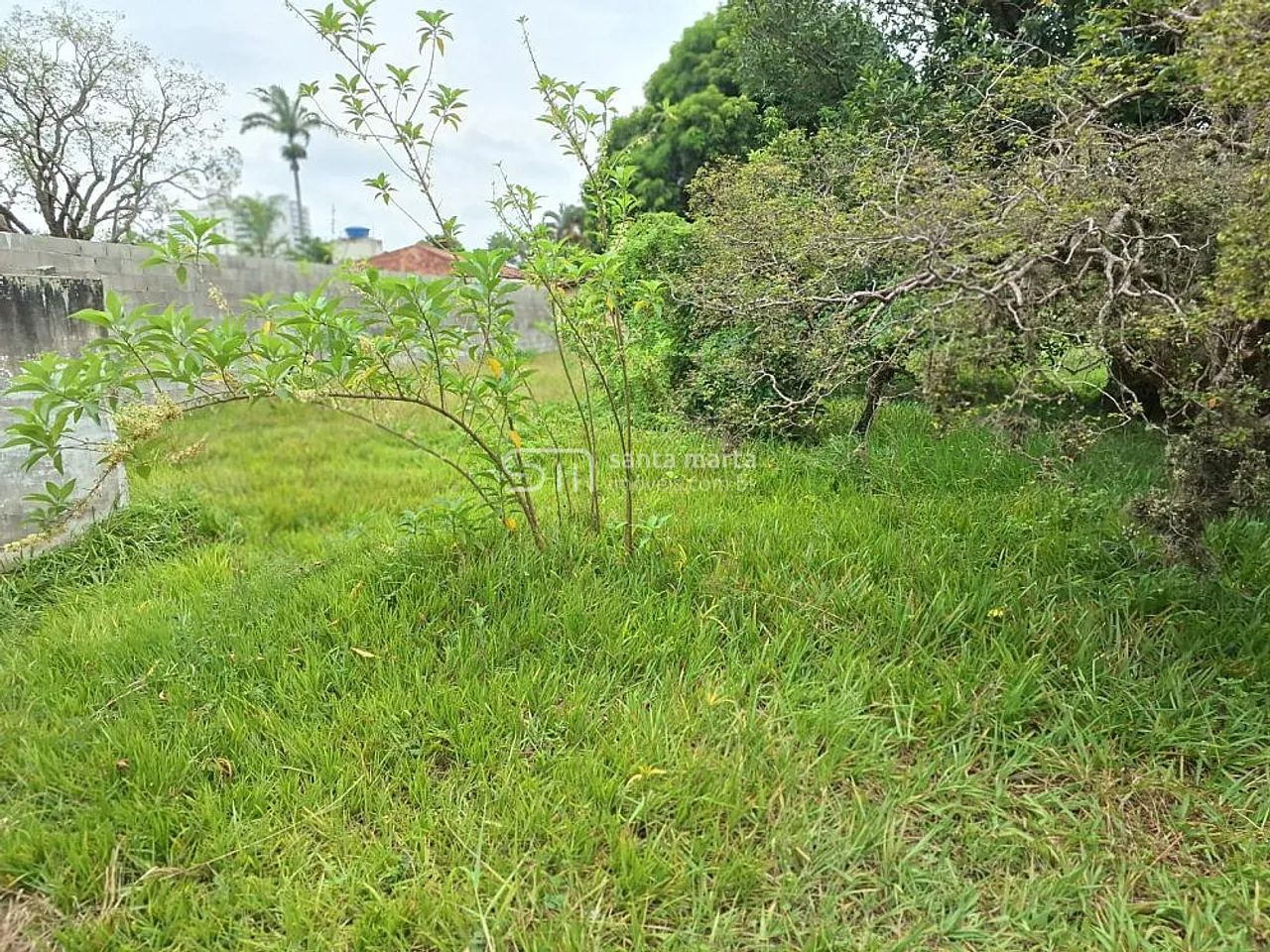 TERRENO PLANO  VILA ZÉLIA  LORENA - SP - Foto 5