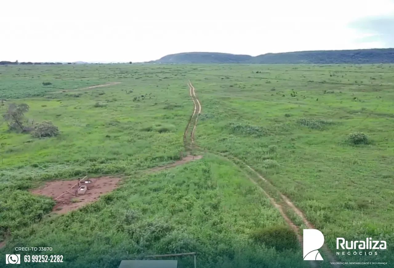 126 HA COM POTENCIAL PARA LAVOURA | NASCENTES E POÇO ARTESIAN - Foto 2