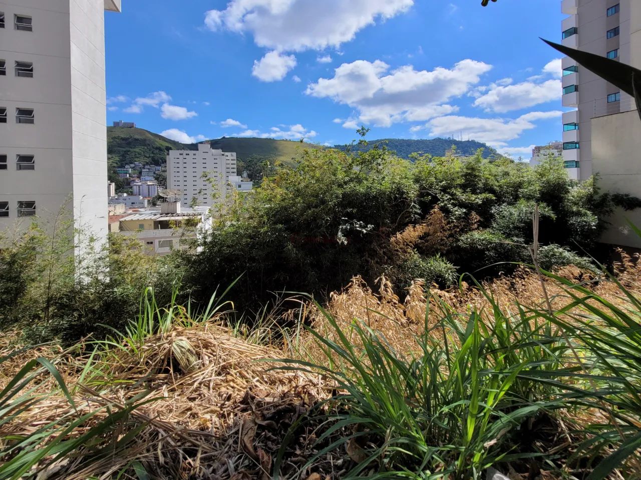 Lote / Terreno - São Mateus - Foto 3