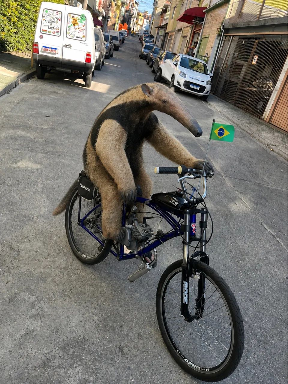 Troco ou vendo