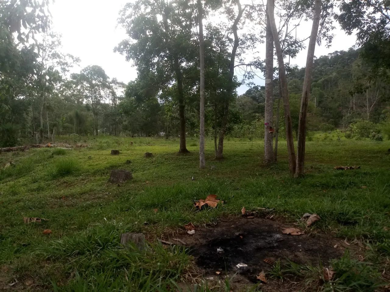 SÍTIO RURAL em MONTEIRO LOBATO - SP, PONTE NOVA - Foto 3