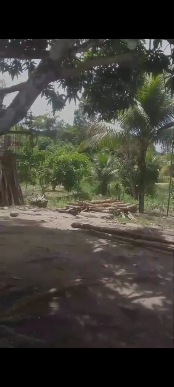 propriedade Rural - Foto 5