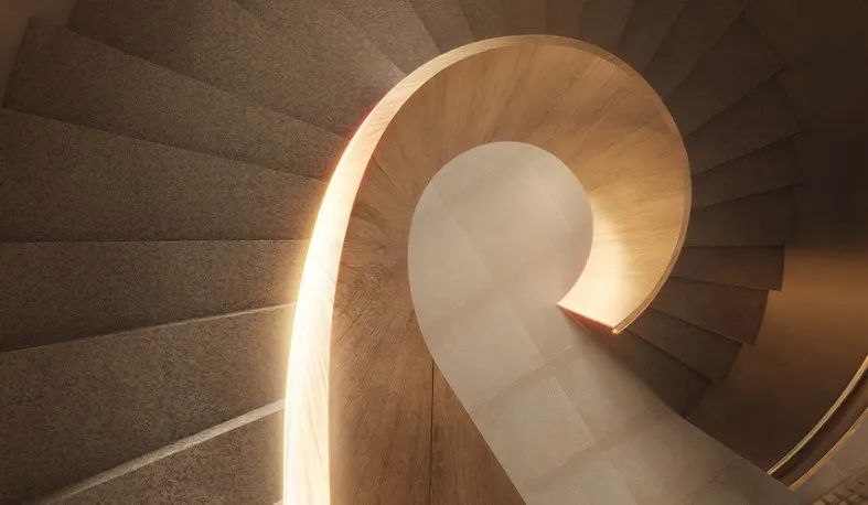 PIEMONTE ALBERI - Foto 4