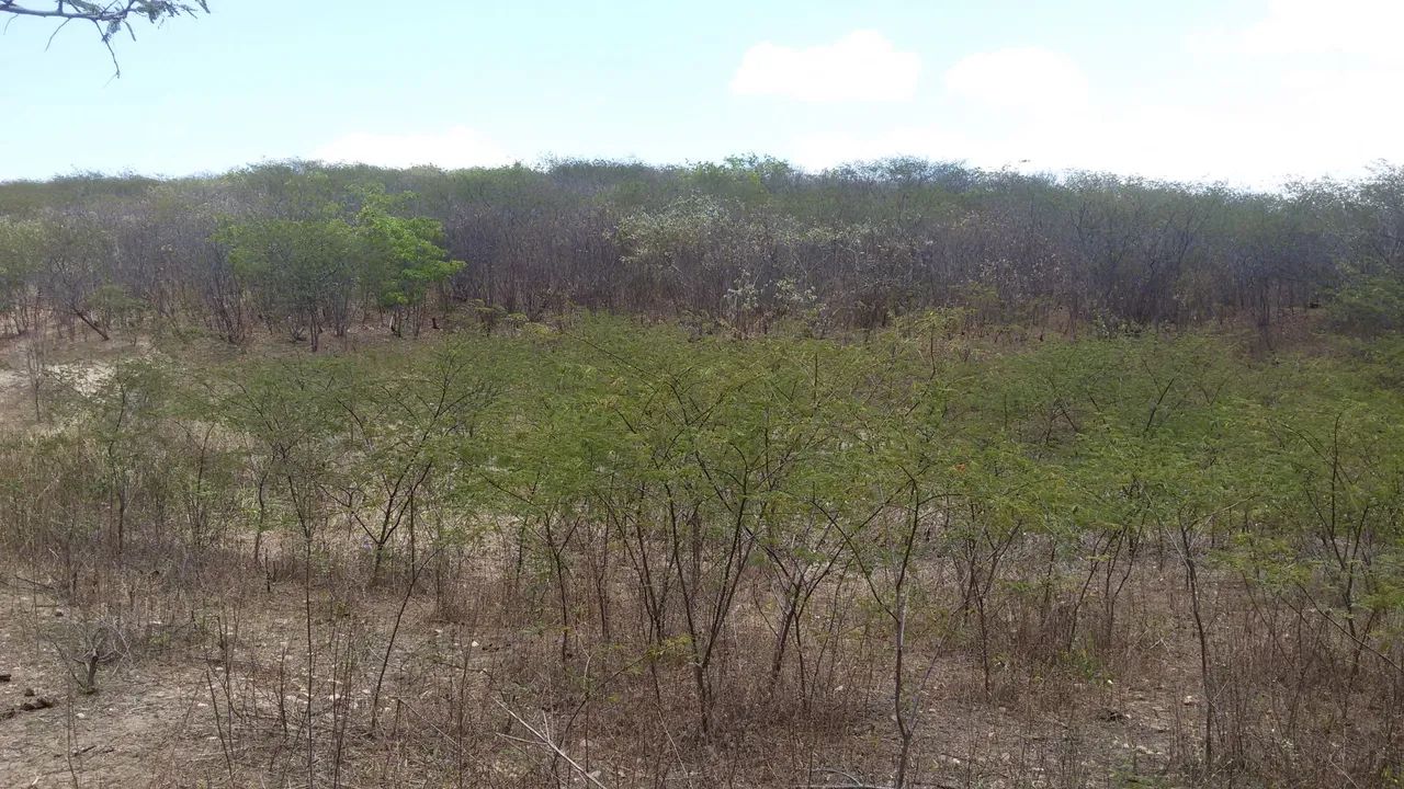 Foto - Fortaleza - Vila Peri