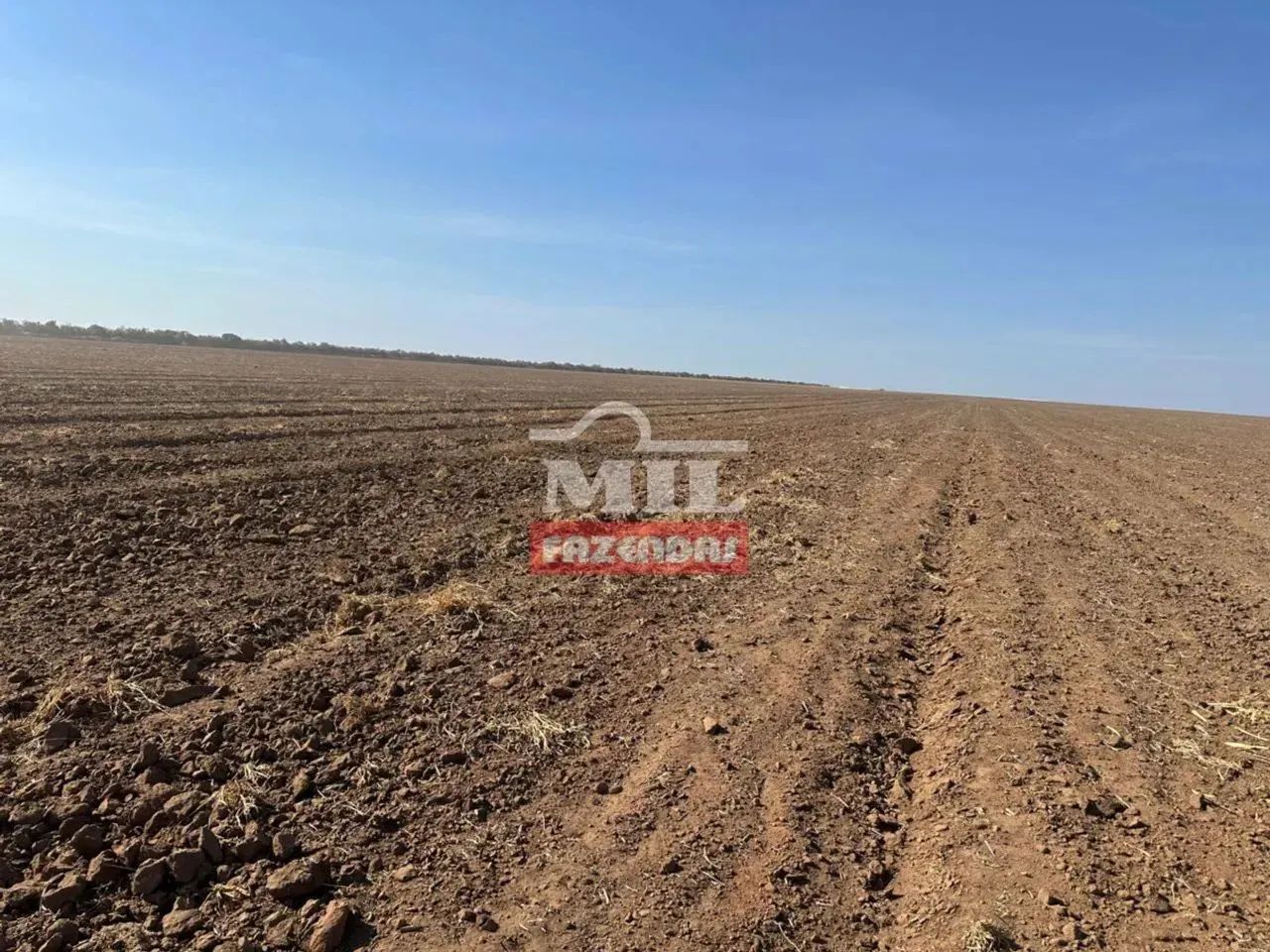 Fazenda 2.618 hectares Bom Jesus - PI