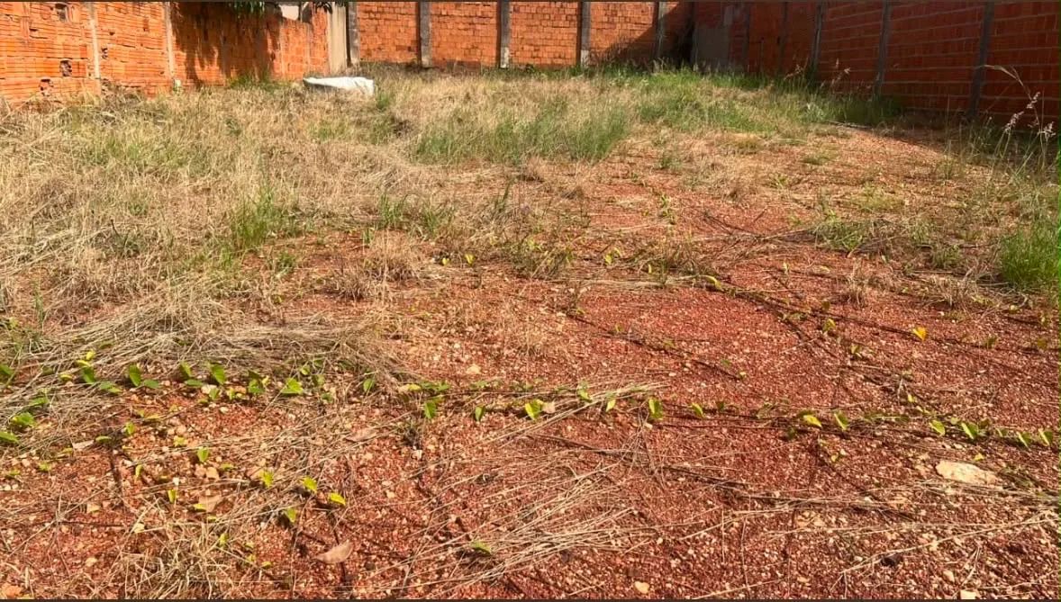 Terreno em VG | Bairro Canelas - Foto 2
