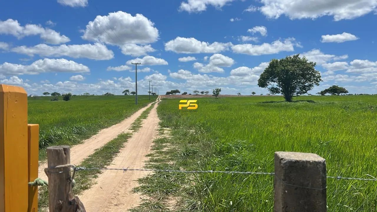 Fazenda 190m² na margem da BR-304 em Macaíba à Venda REF: PS1036 - Foto 4