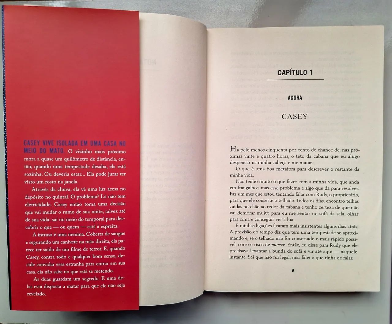 A Intrusa - Freide McFadden  - Foto 3