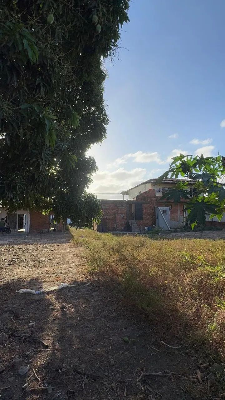 Vende-se terreno - Foto 3