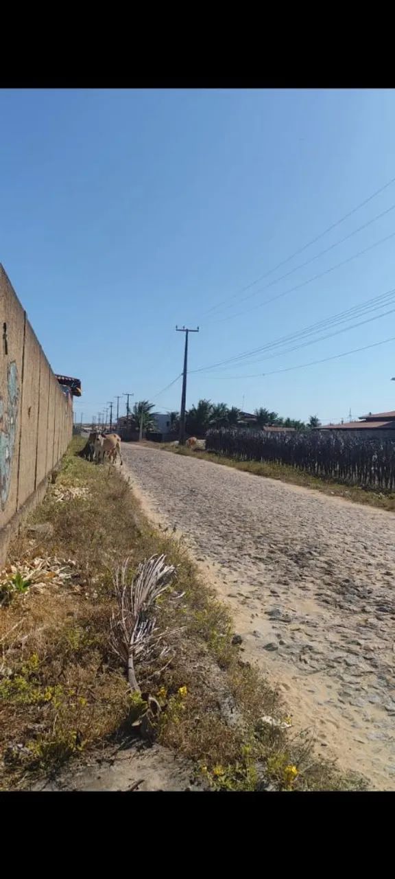 Terreno próximo ao mar - Foto 4