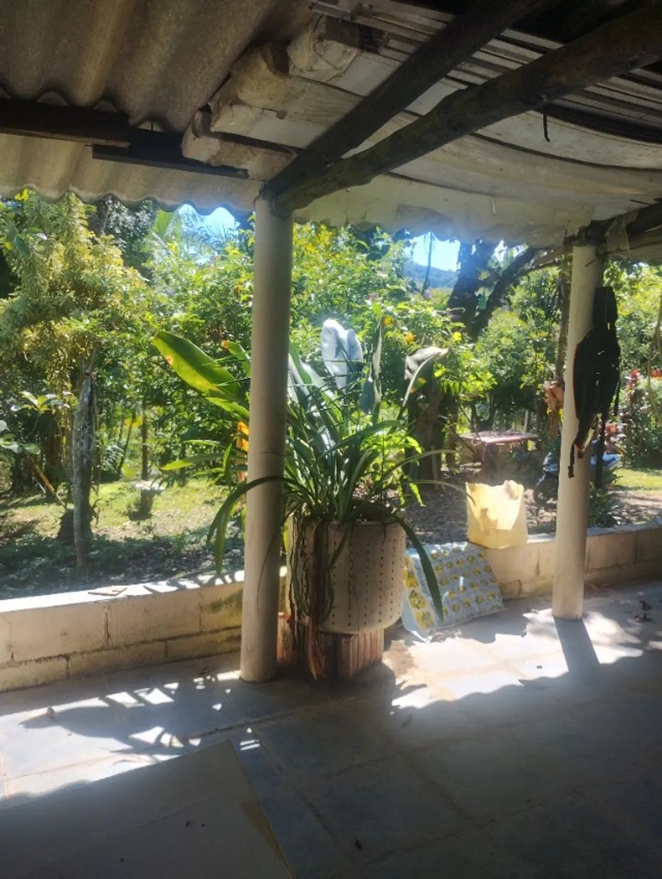 Foto - Iguape - 