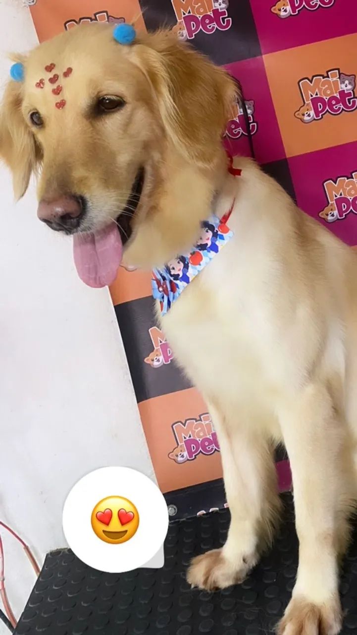 Doação  - Foto 4
