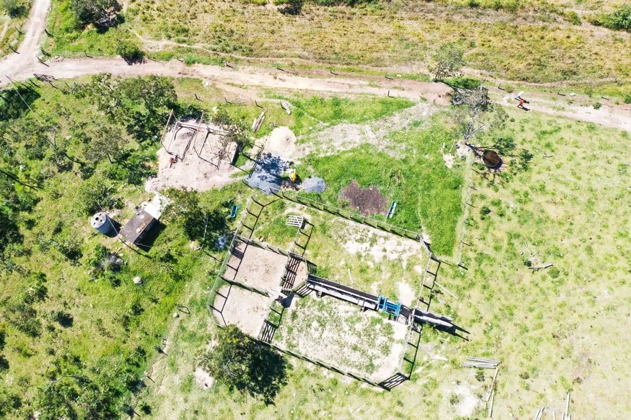 Fazenda 96 alqueires Planaltina Goias - Foto 3