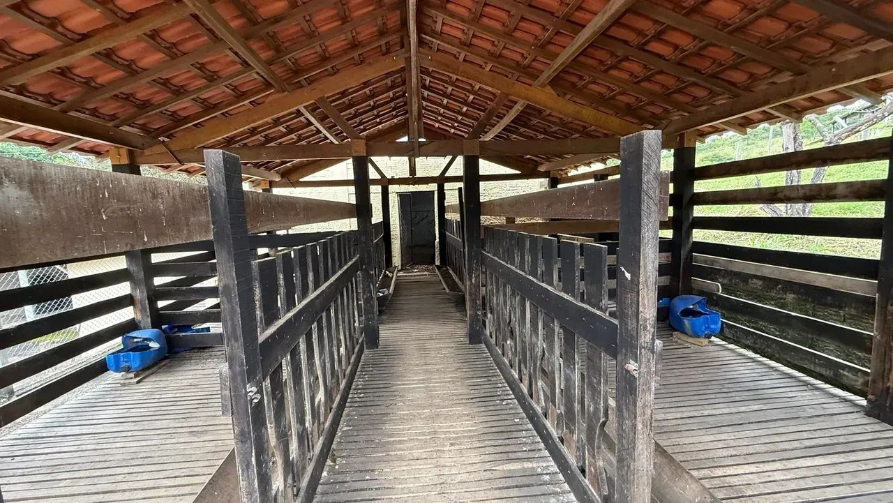 Lindo sitio a venda em Jacutinga -MG - Foto 3