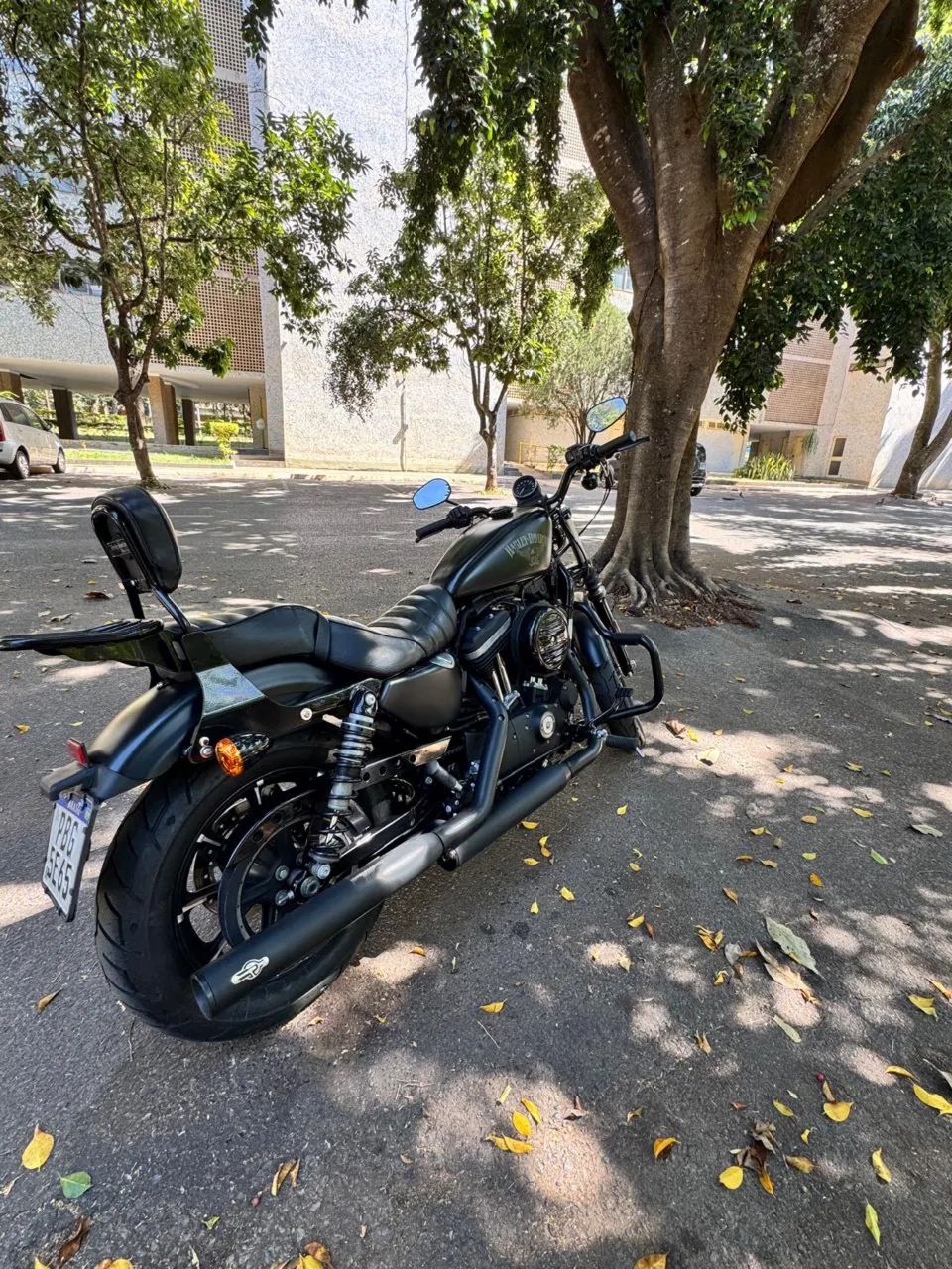 Harley 883 Iron - 2018