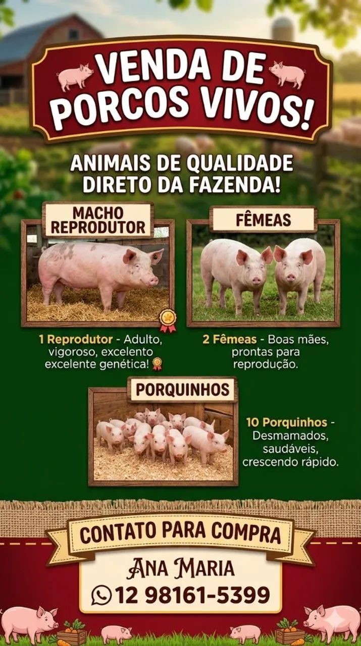Venda de Animais de Fazenda