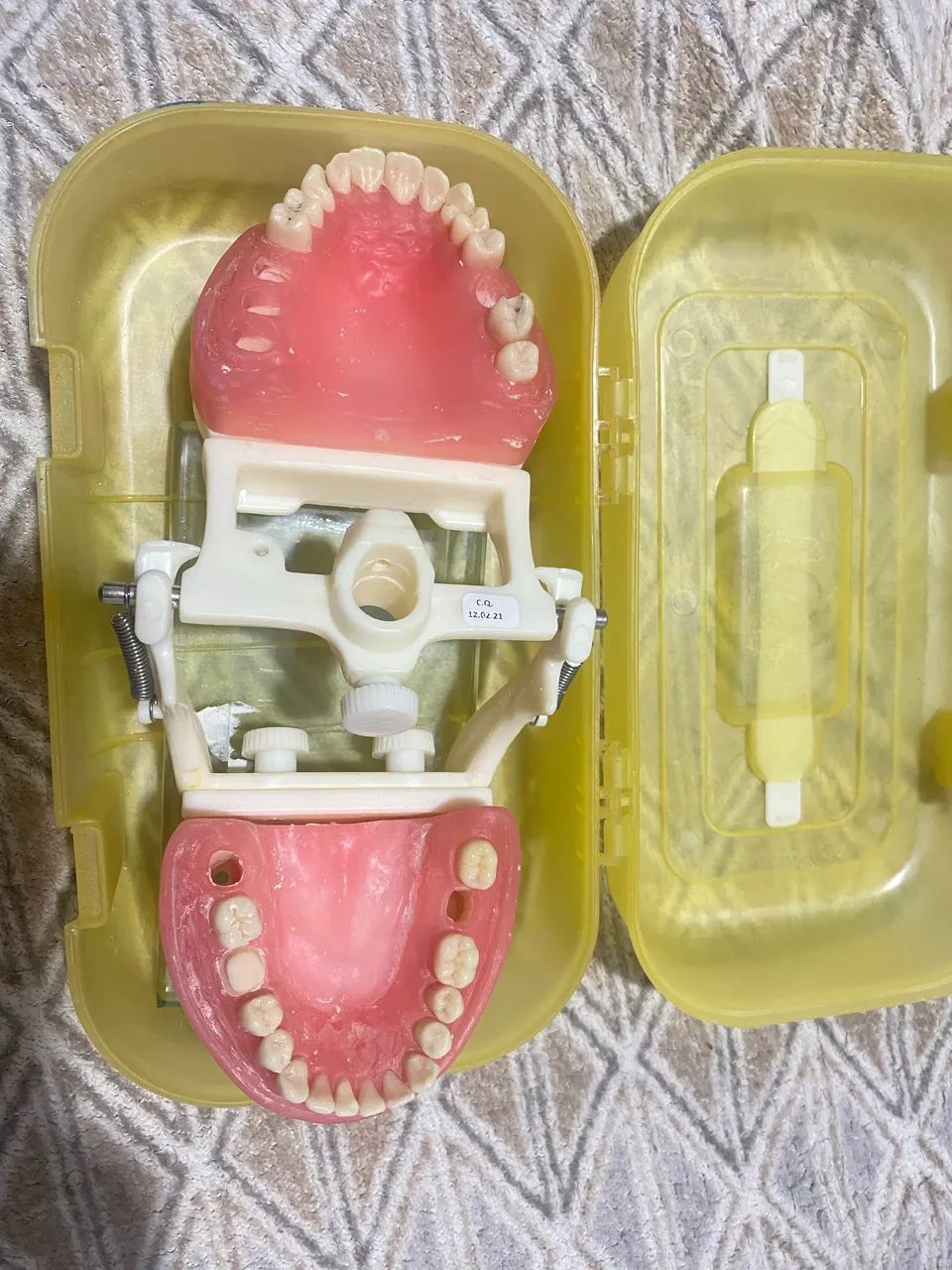Manequim odontológico 