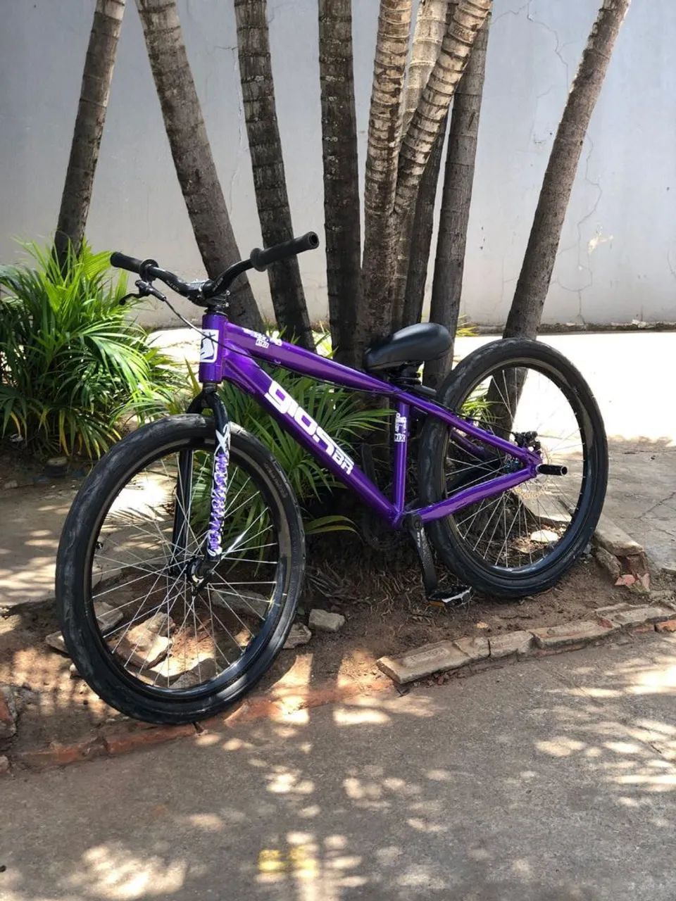 Gios 2025 4trix
