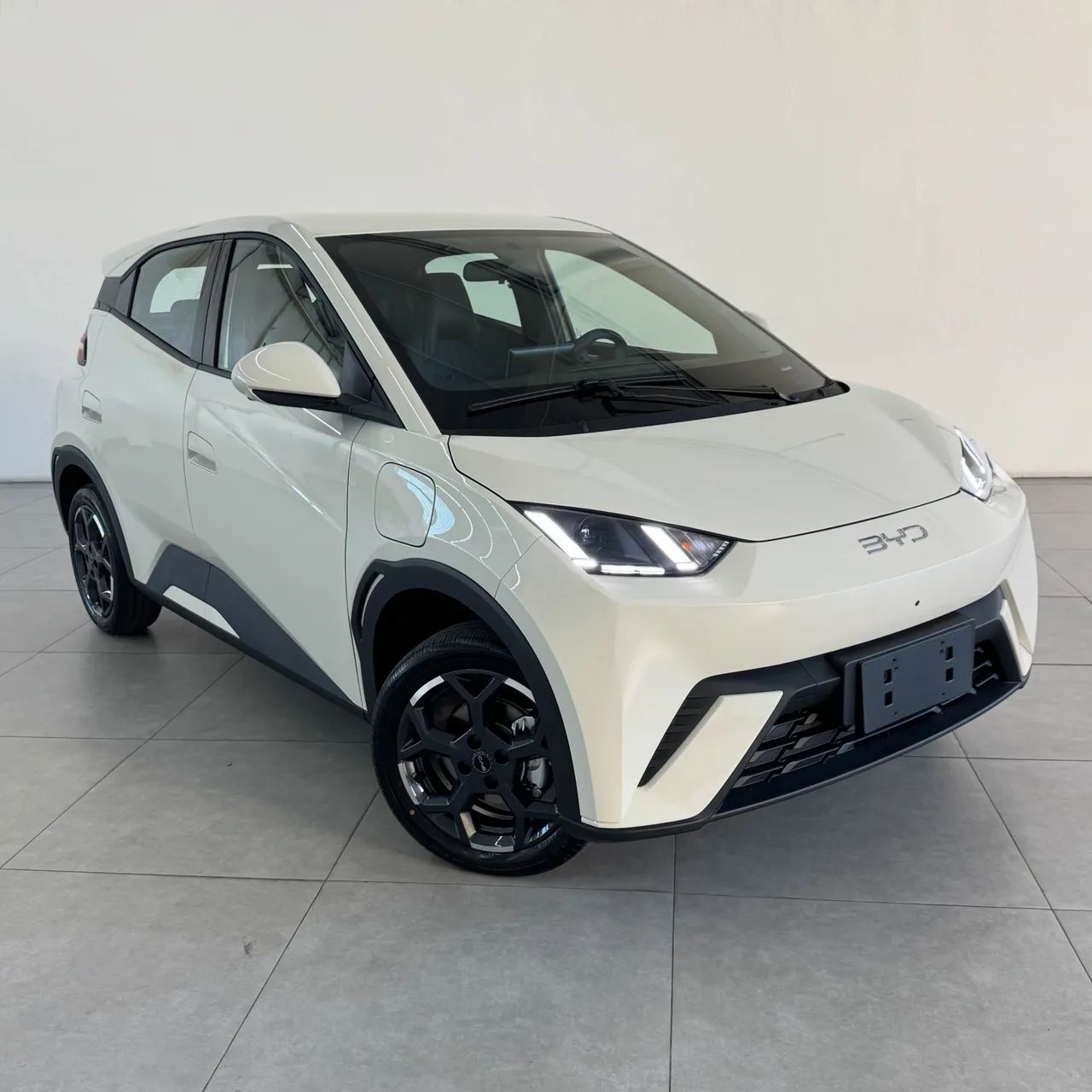 BYD Dolphin Mini (Elétrico) 2026