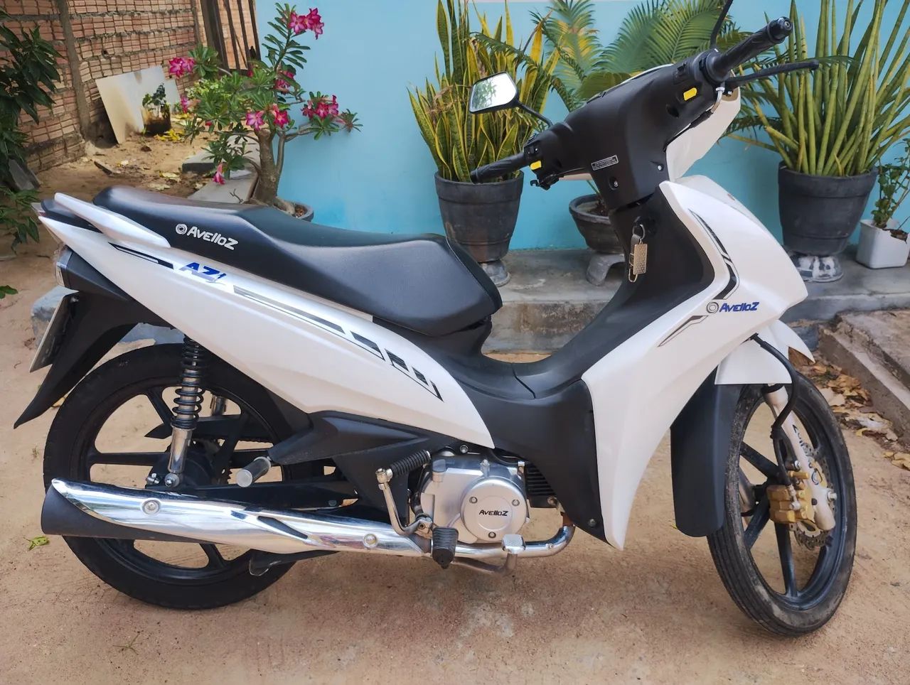 Moto - Foto 2
